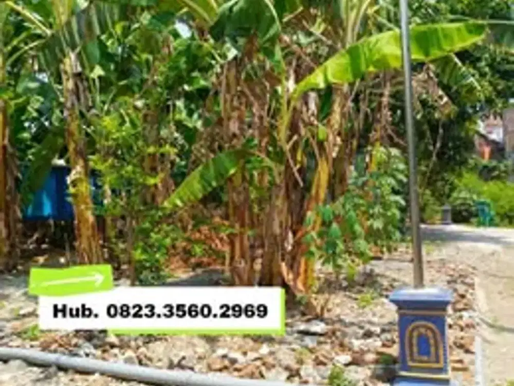 TANAH COKROMENGGALAN PONOROGO