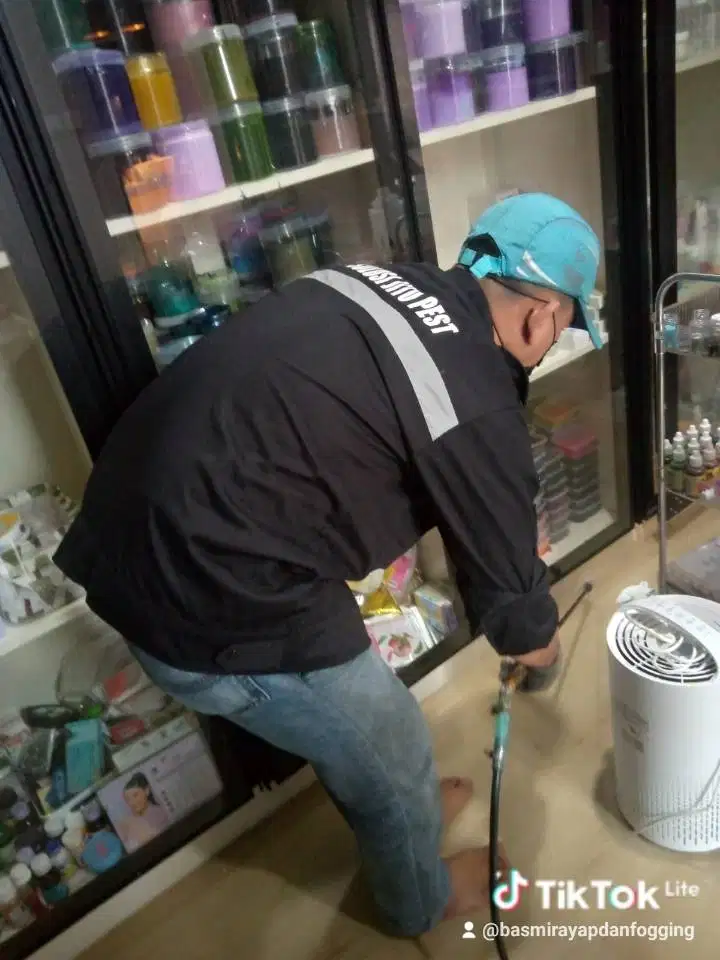 Solusi basmi rayap hingga koloni