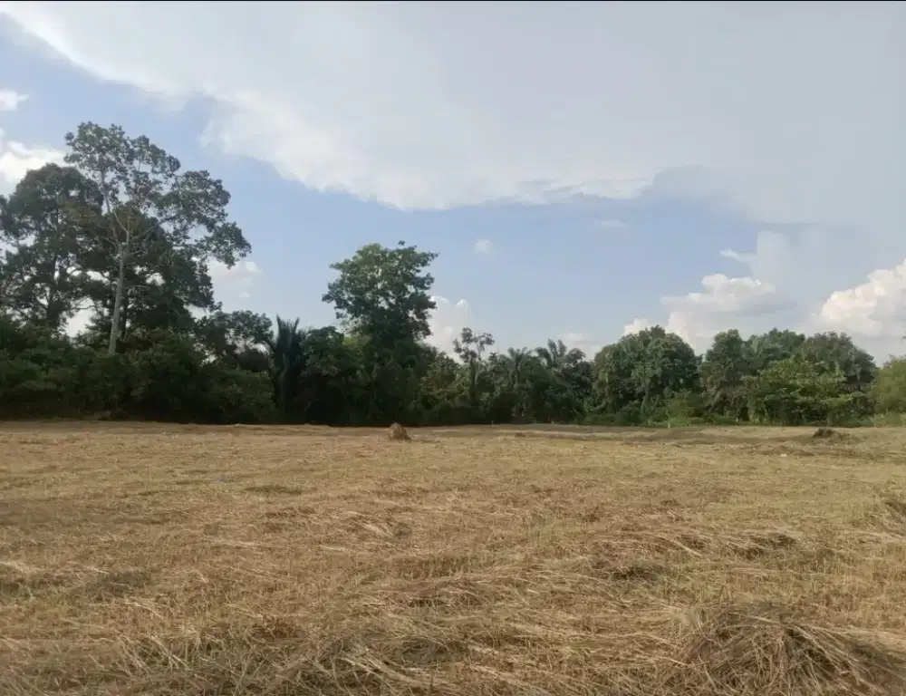 Dijual Tanah Luas 8200 M2 di Jl Lingkar Danau Rumbai Pesisir Pekanbaru