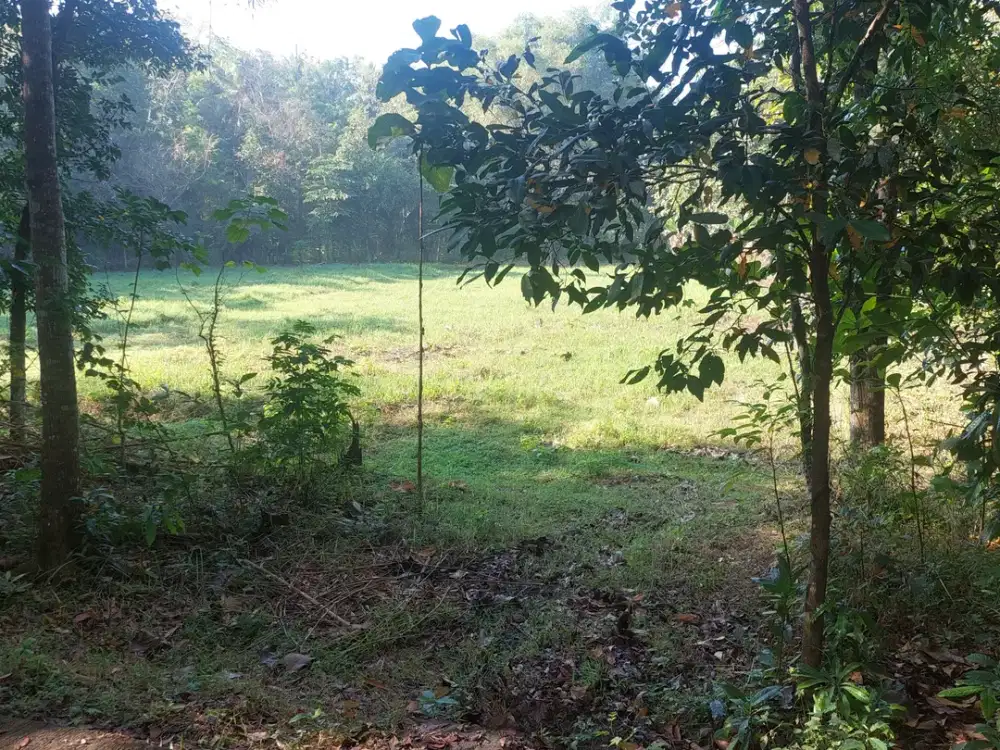 Bangunjiwo, Tanah Kasihan Bantul, Dekat SPBU Ambarketawang