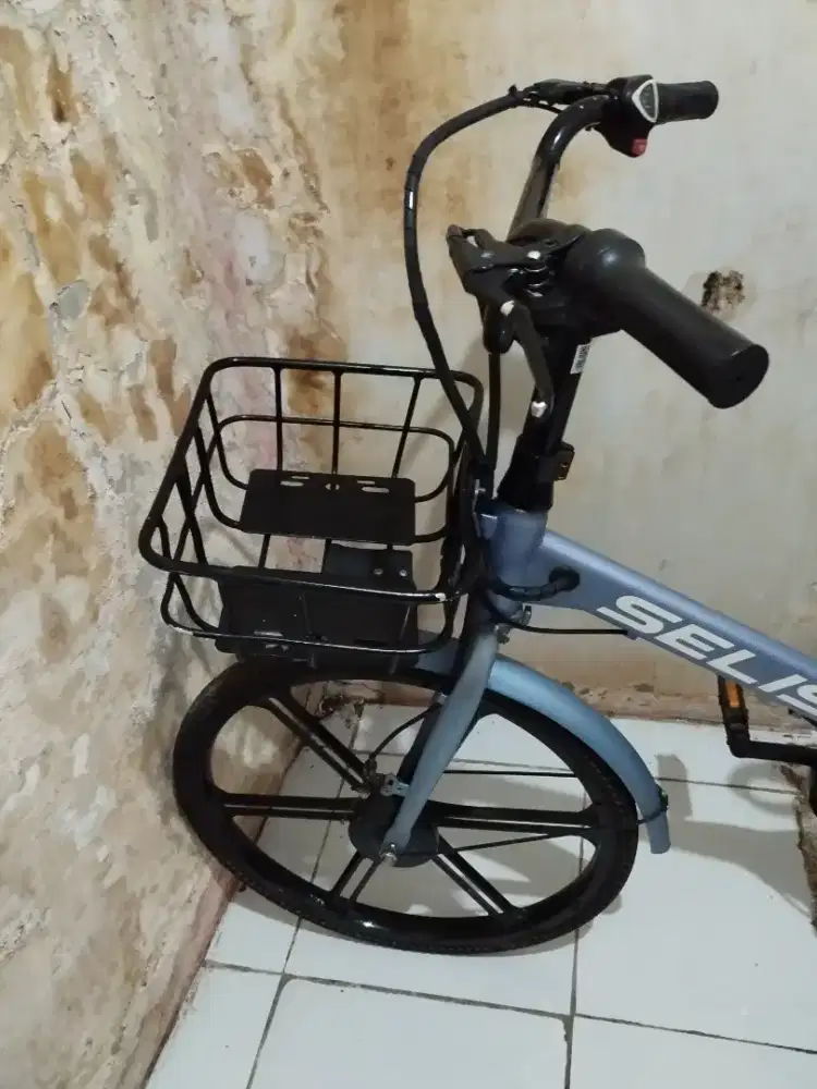 Selis IOI Batere Lithium 48v