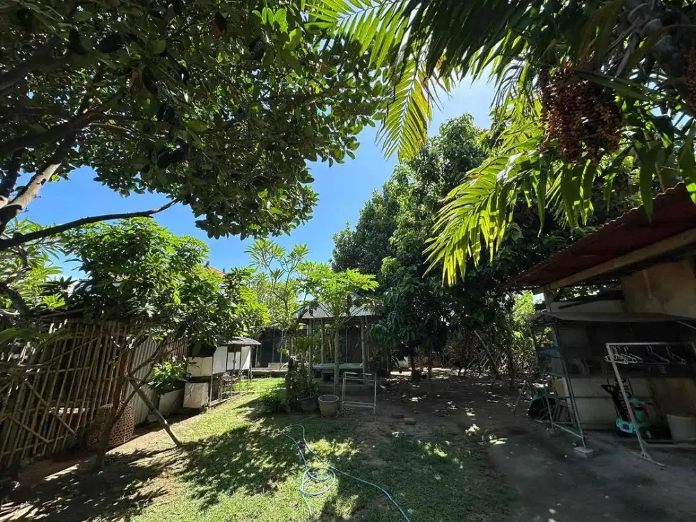 DIJUAL TANAH JALAN UTAMA ADA BANGUNAN KOS KOSAN