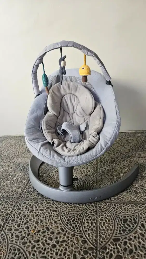 Bouncer Nuna Leaf grow