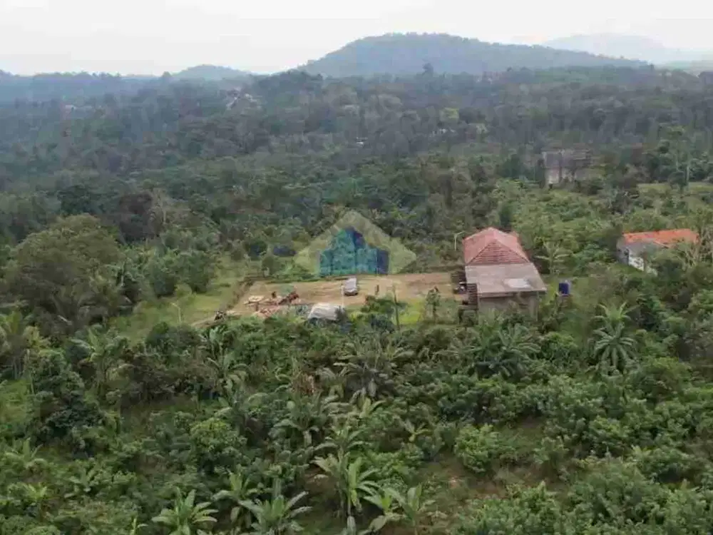JUAL KEBUN DURIAN LUAS TANAH 10 HEKTAR ADA VILLA DI TELAGA LUHUR SERANG BANTEN