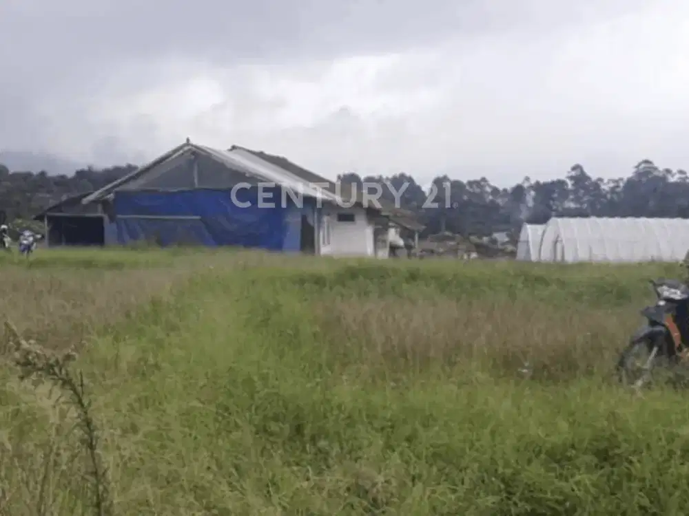 Tanah Siap Guna Bisa Untuk Usaha Di Tenjolaya Ciwidey Bandung
