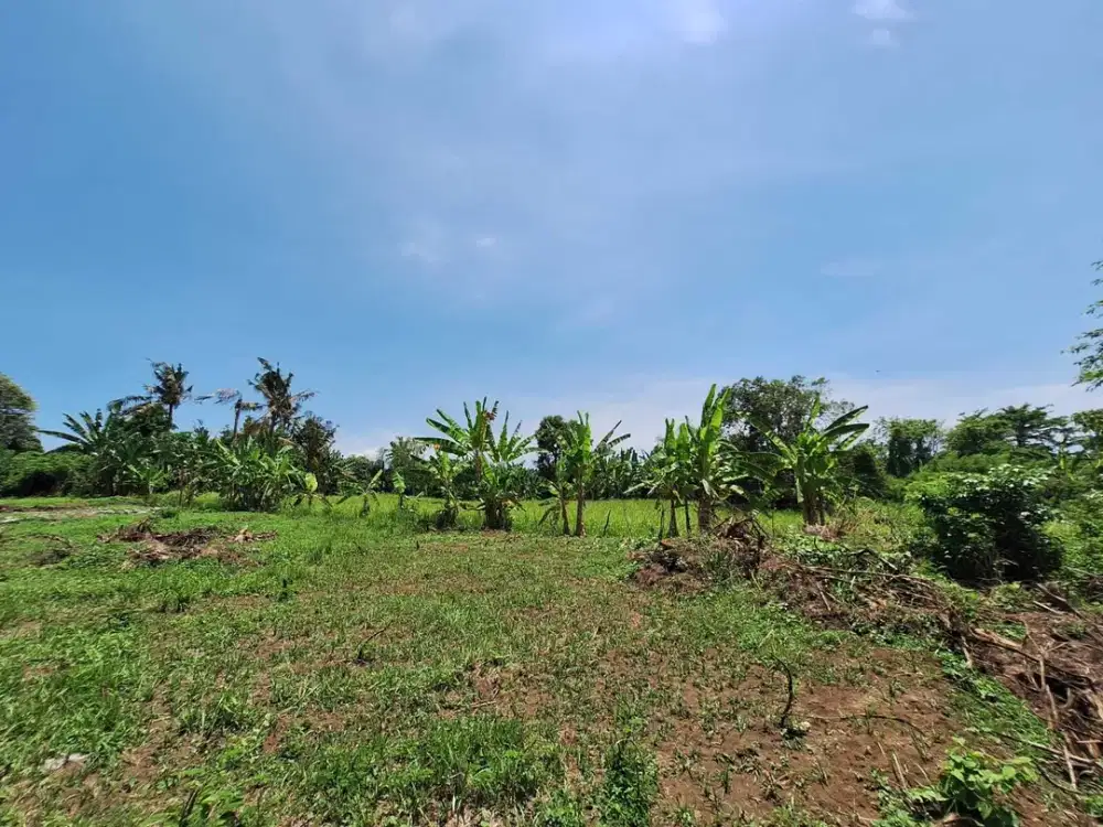Tanah Zona Pariwisata dekat Beach Club flaminggo pantai  Saba Ginayar