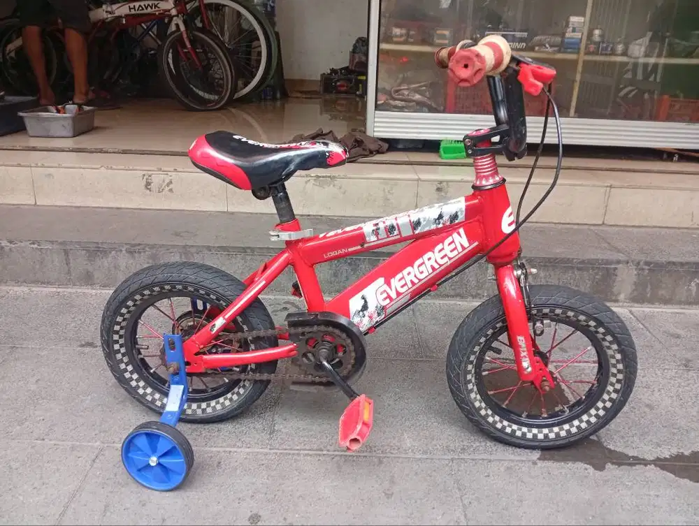 Sepeda Anak Evergreen Ukuran 12 Inch