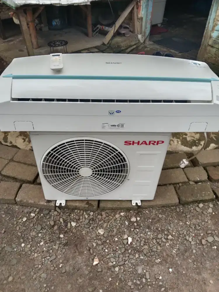 Ac sharp stegah pk