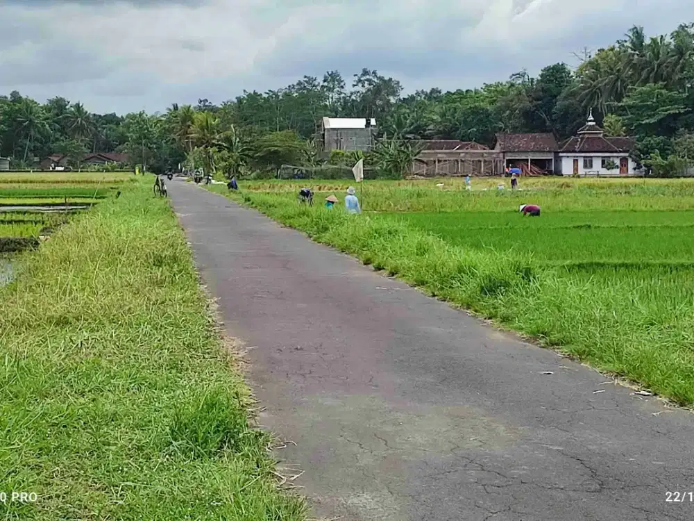 Dijual Sawah Tepi Jalan Barat Rumah Sakit At turots Sleman Yogyakarta