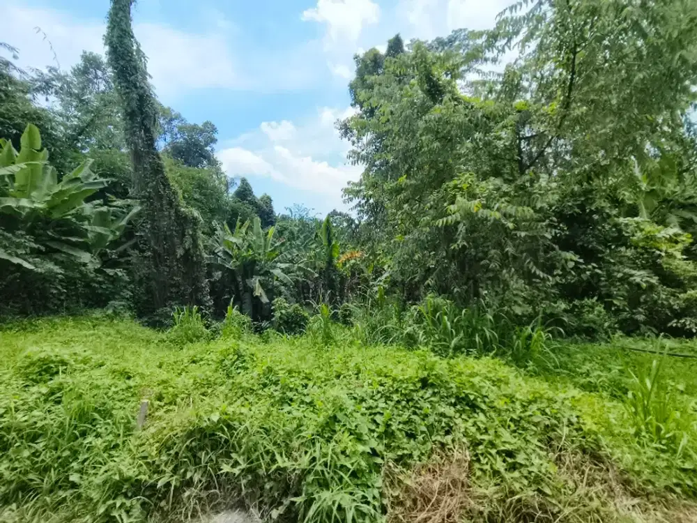 Di Jual Tanah Pejeng Harga termurahhh