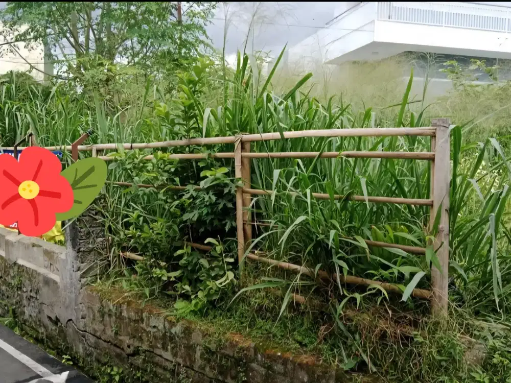 JUAL CEPAT TANAH DI SARIJADI SETRADUTA