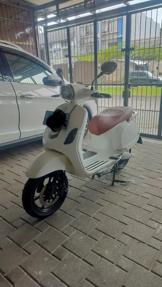 for sale 2023 smoot zuzu