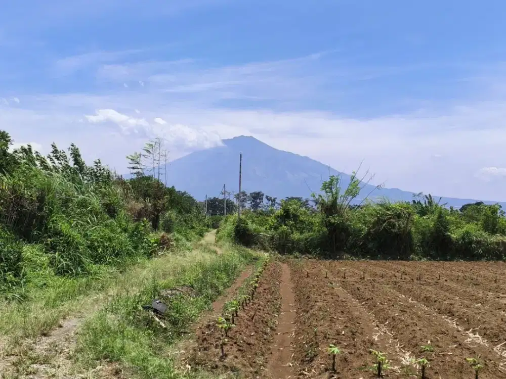 Tanah Kavling Area Kota Malang Dekat Area Kampus besar