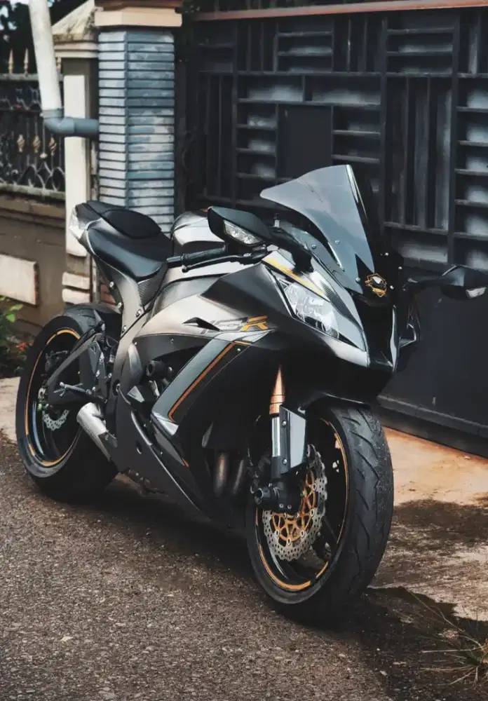 Kawasaki ZX10R (1000cc)