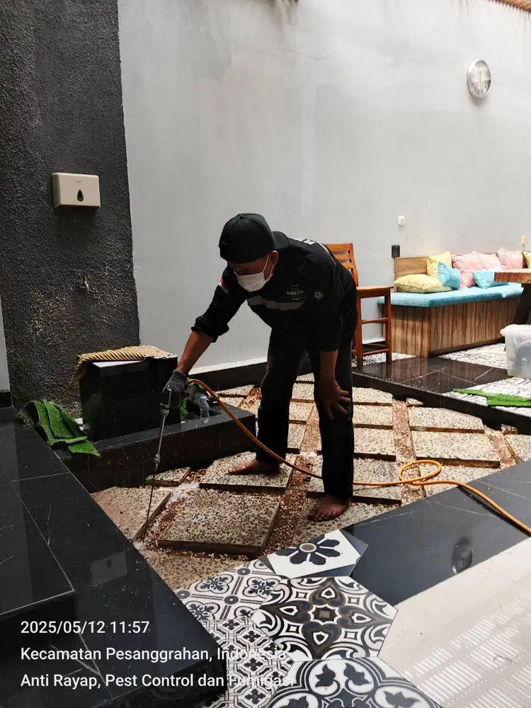 Bebaskan Rumah dari Rayap Sekarang, Bergaransi !