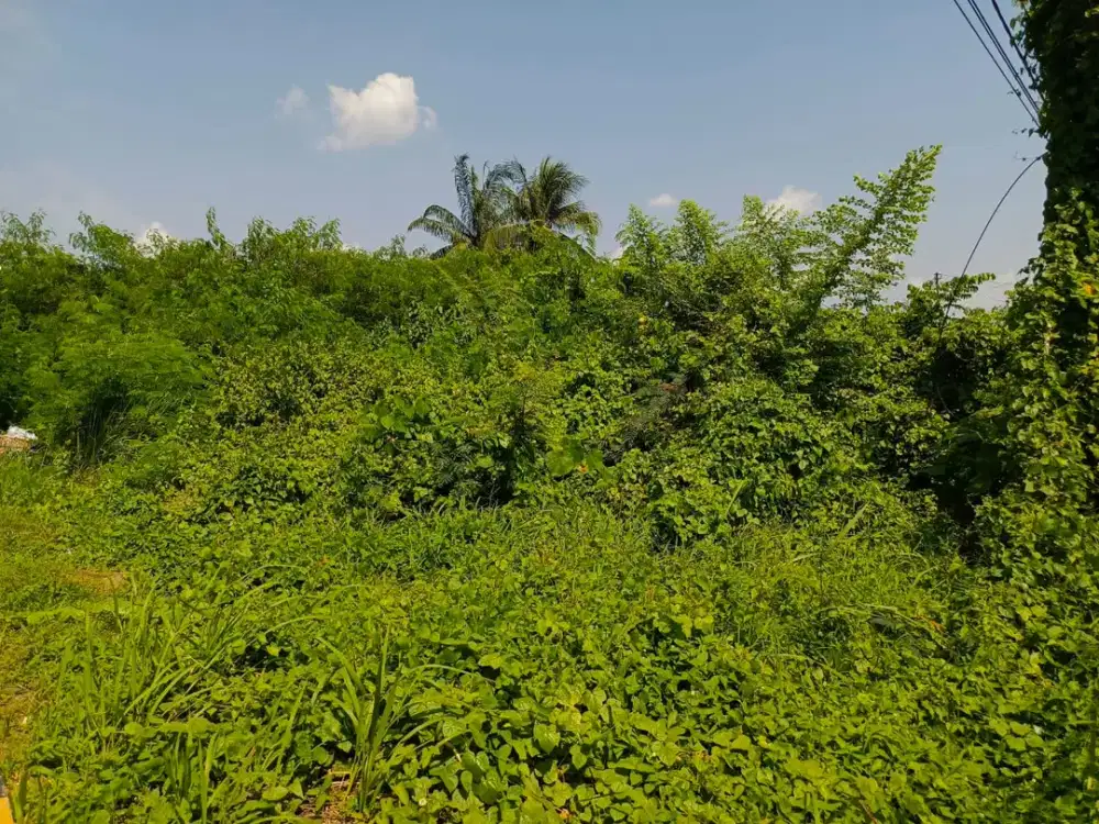 JUAL Lahan 4331 Jalan Haji Barlian Seberang Asrama Haji Palembang