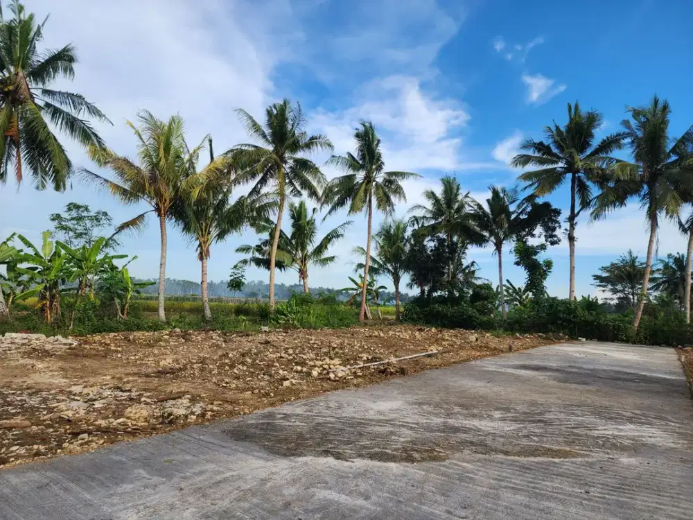 Di Jual Tanah Jogja Sertifikat SHM Dekat UNY Wates