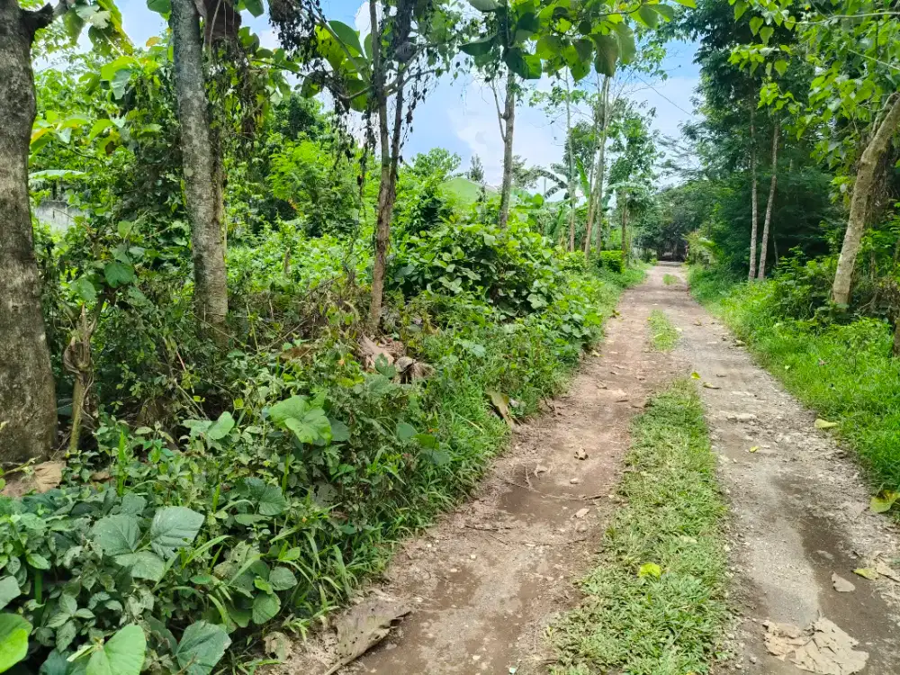 Tanah Kavling Luas 430 m Tengah Kota Murah