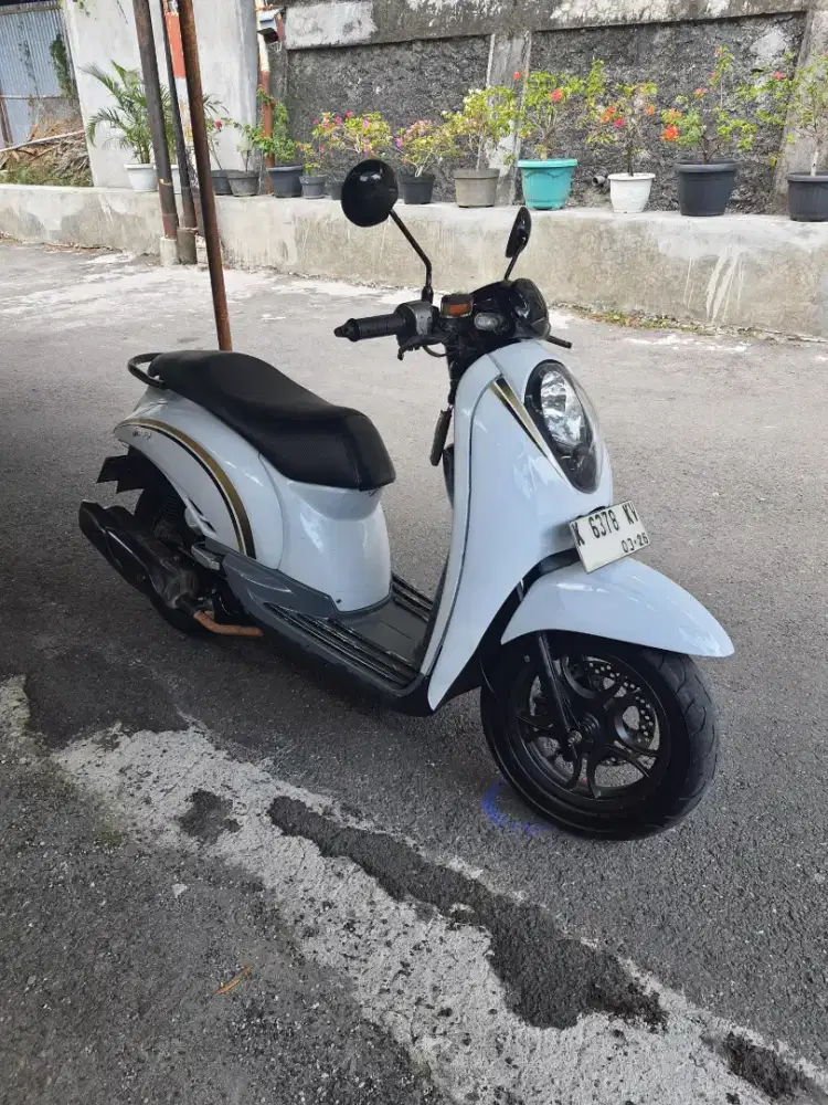 Scoopy istimewa