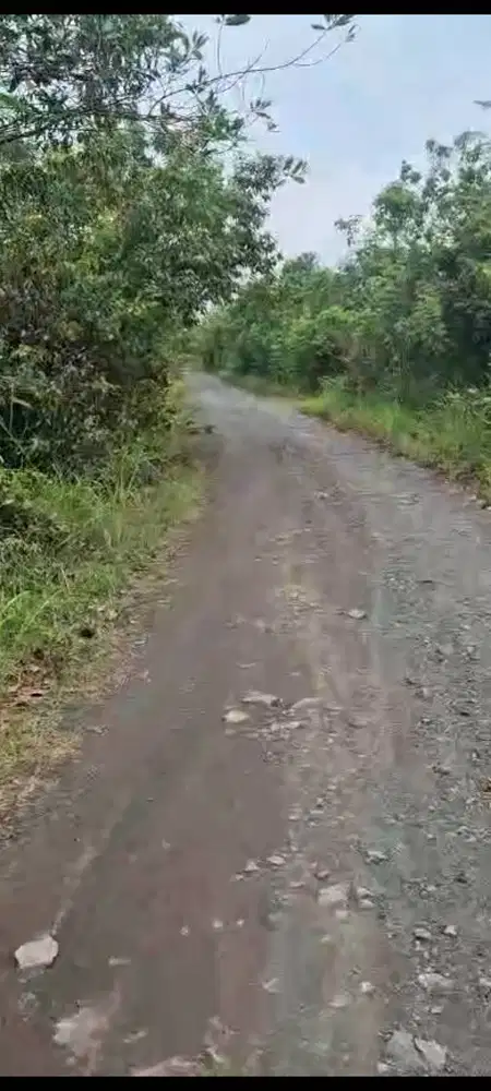 DIJUAL TANAH KAVLING STRATEGIS DI KAWASAN PALAM RAYA - KOTA BANJARBARU