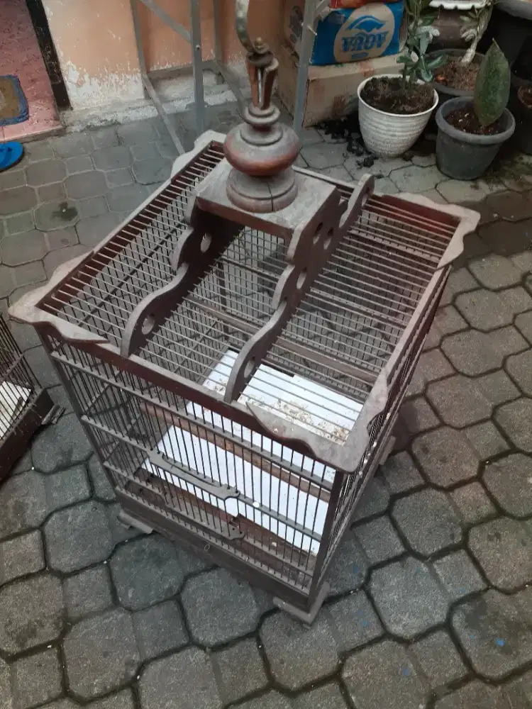Sangkar kacer/ciblek/c.ijo dll
