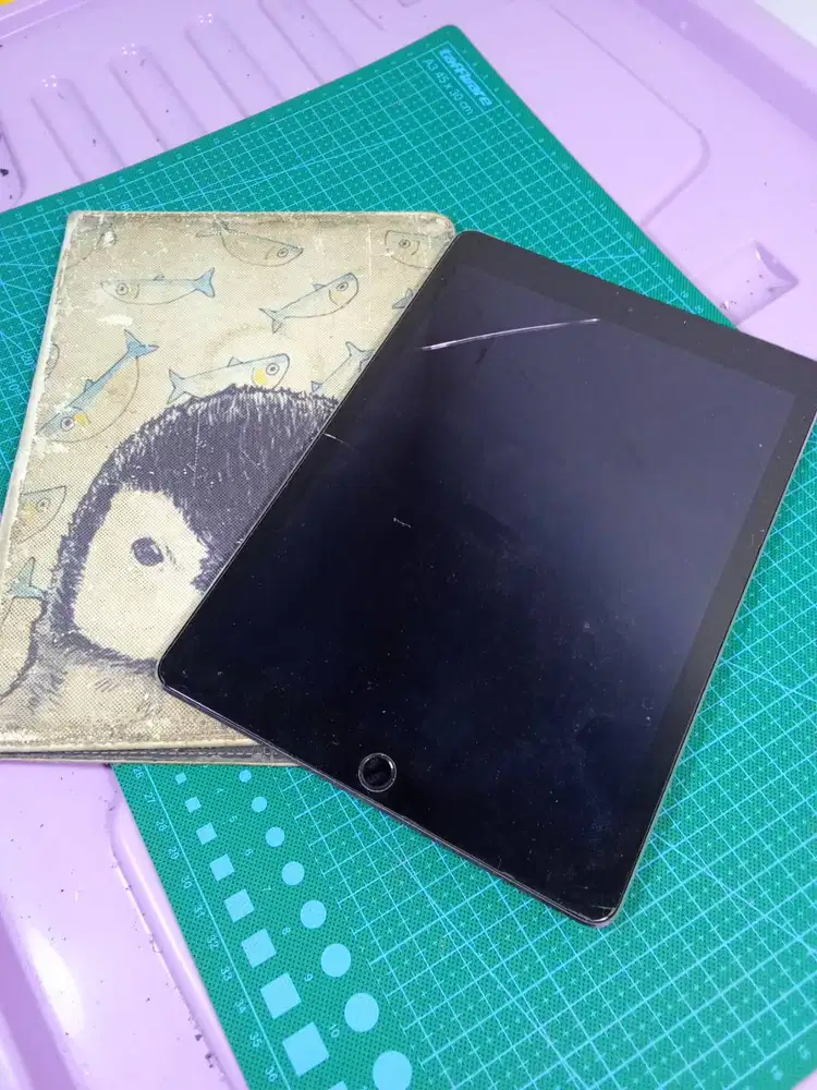 Apple iPad Air 2 16GB A1567 Wifi Cell