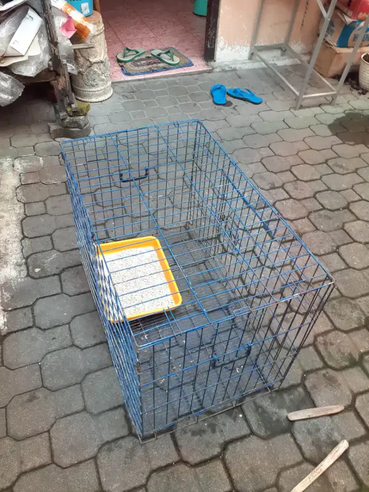 Kandang Kucing bekas