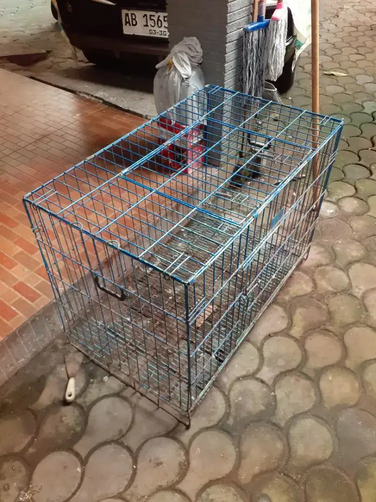Kandang kucing bekas