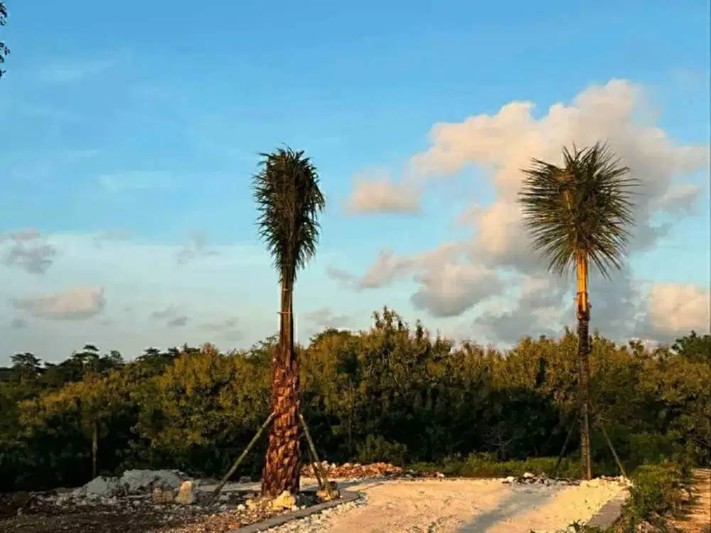 Land for sale in Balangan, Bali