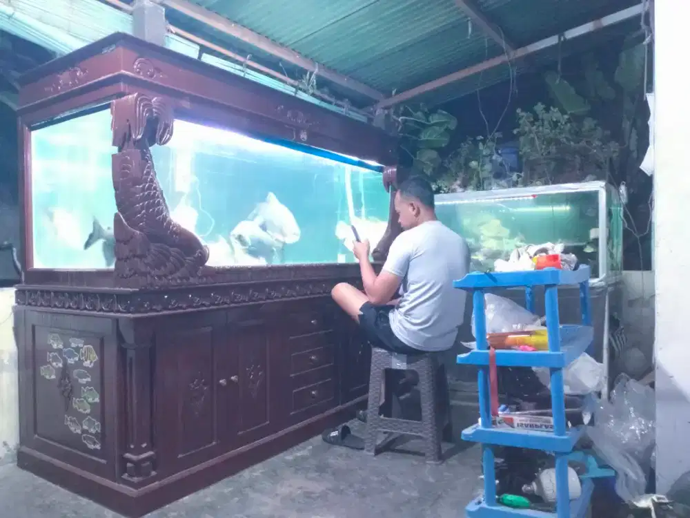 Aquarium tank +rak