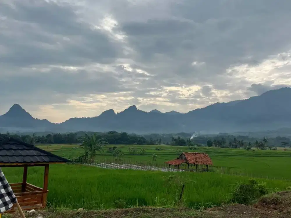 ​Aset Produktif! Kavling Sawah Golden View: Passive Income Siap Menanti.