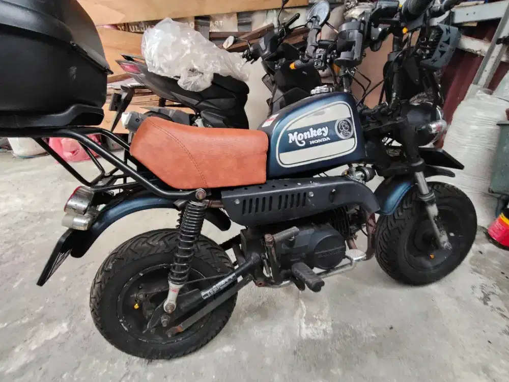 Monkey custom 2009