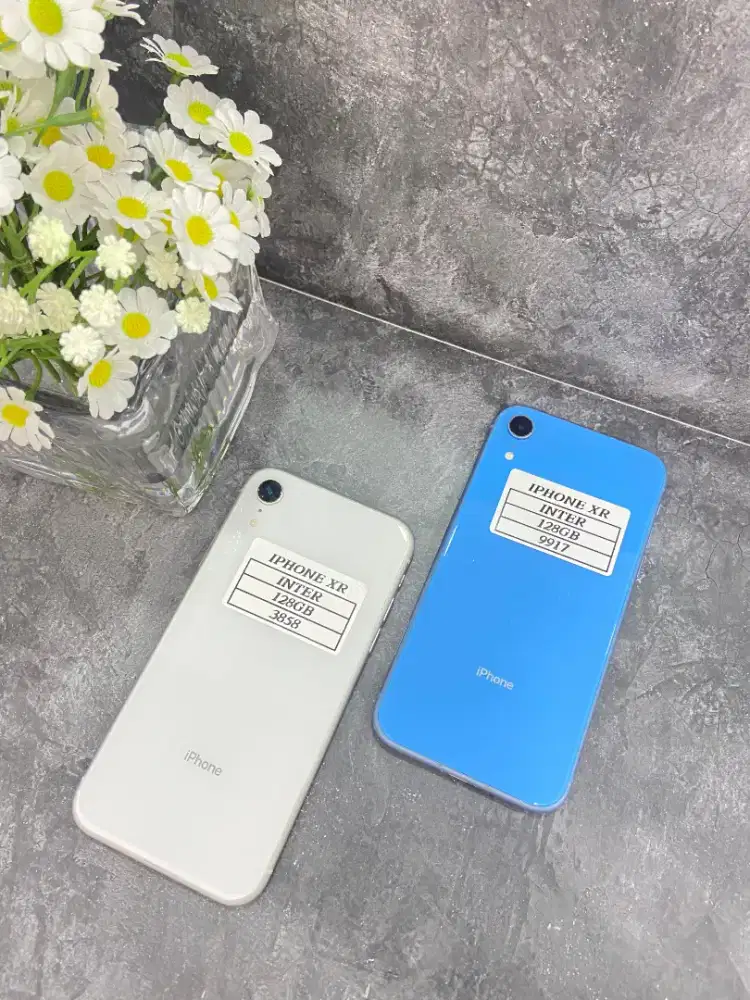 IPHONE XR 128GB - INTER - FULLSET NOMINUS