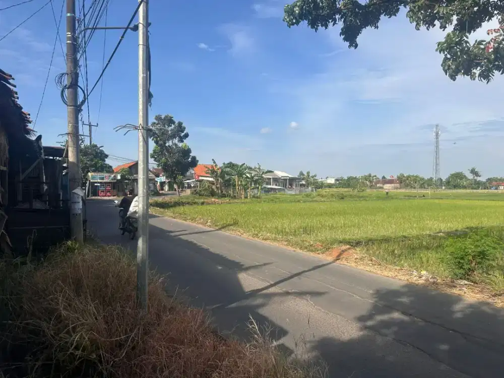 Tanah Sawah Hadap Jalan 65 Meter dan Padat Penduduk