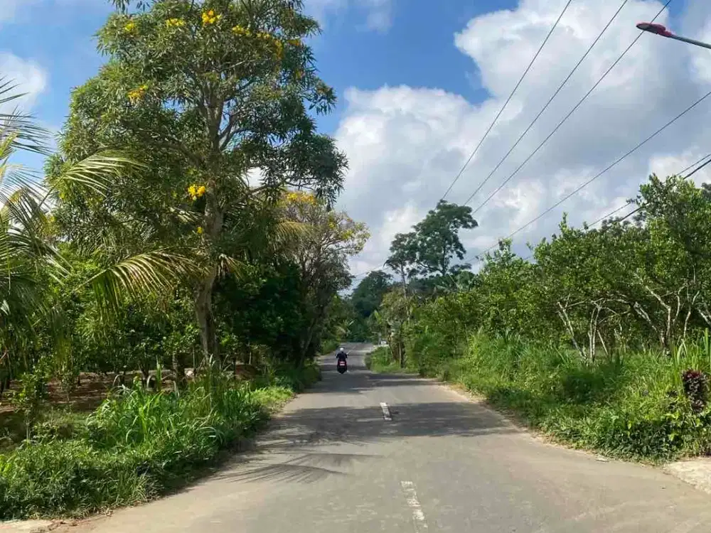 jual tanah payangan dekat Ubud gianyar