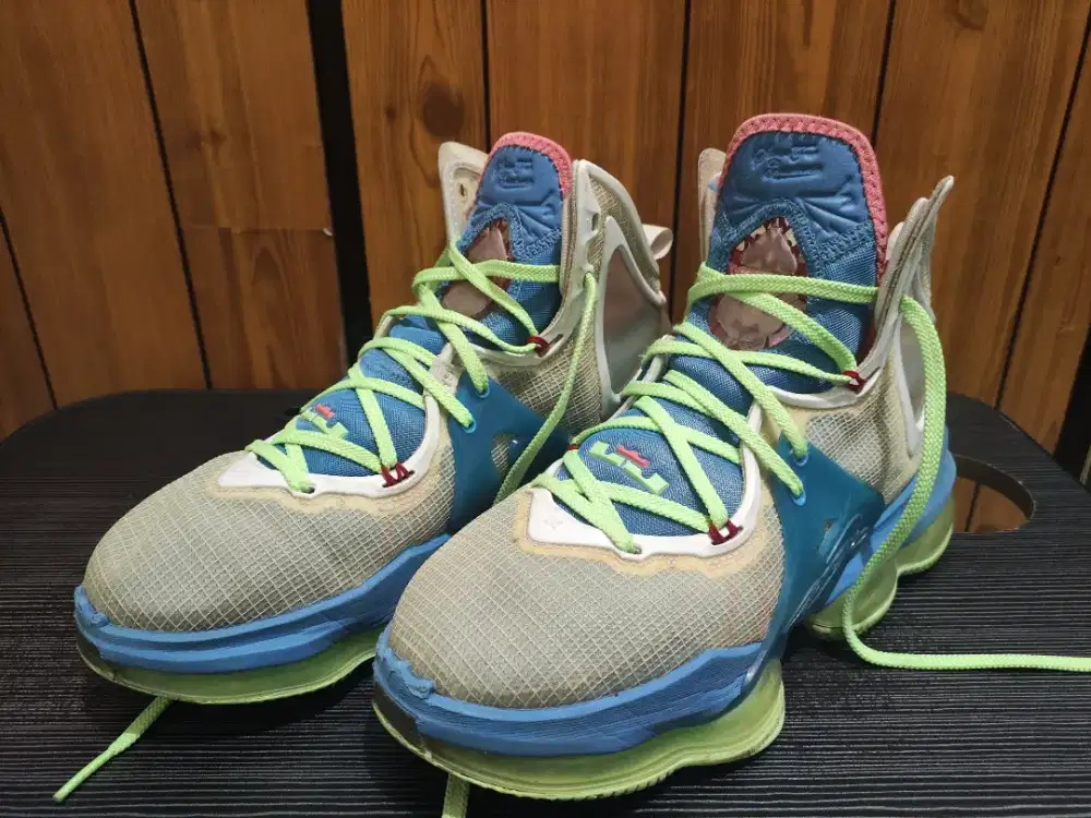 Nike LeBron 19 EP Tropical sz 41