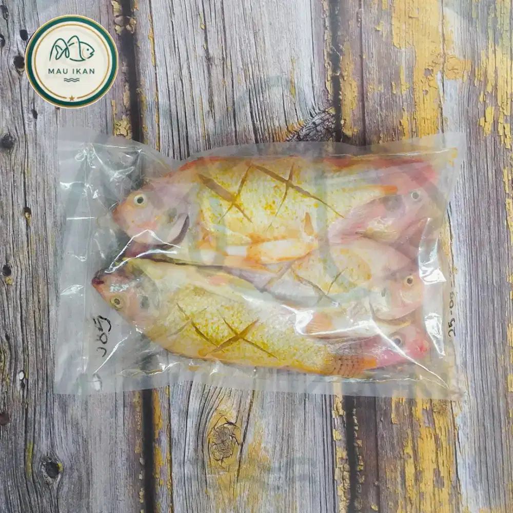 Ikan Nila Merah Frozen Marinasi