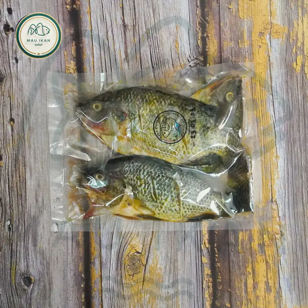 IKAN NILA TILAPIA FROZEN MARINASI