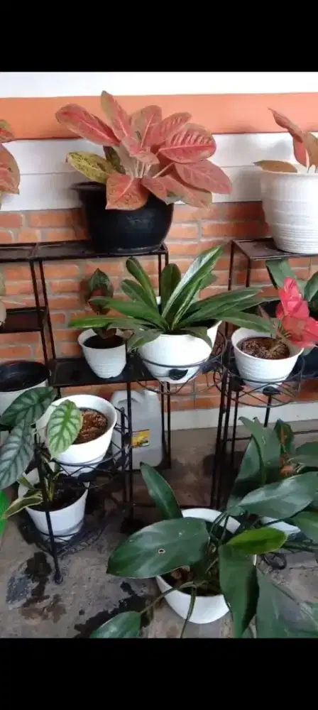 Rak Bunga Susun Minimalis