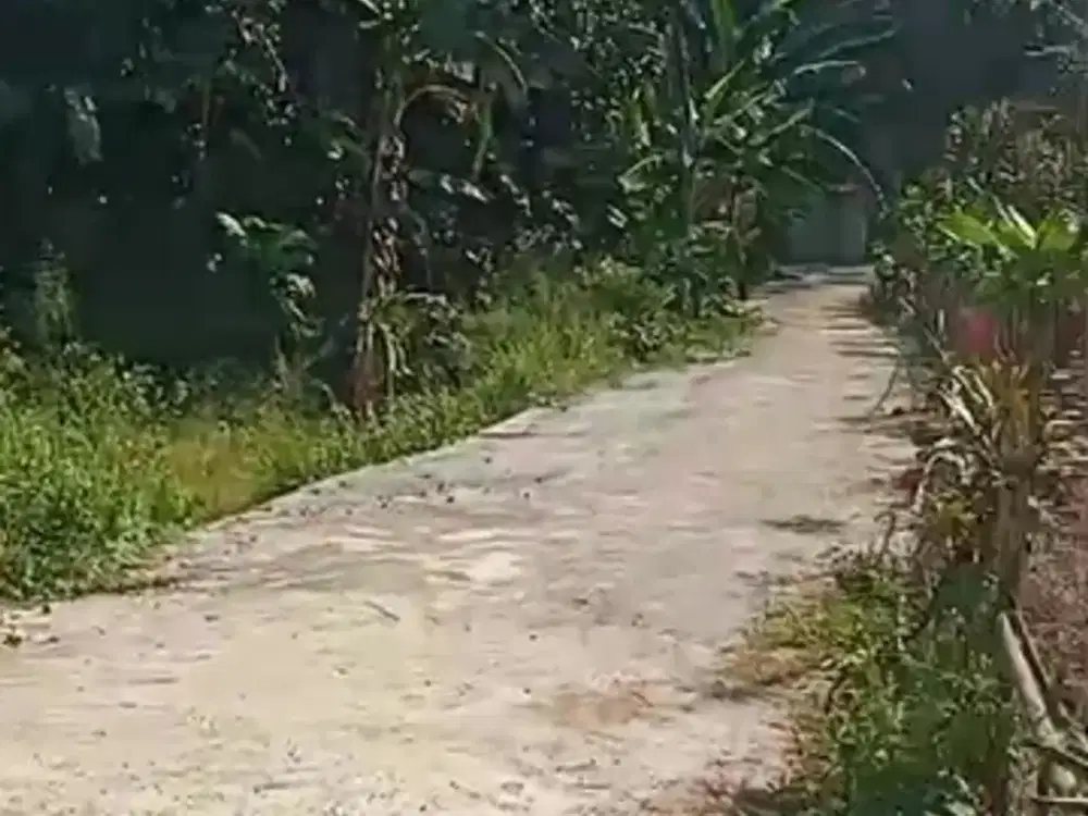 jual tanah di Rumpin Bogor barat