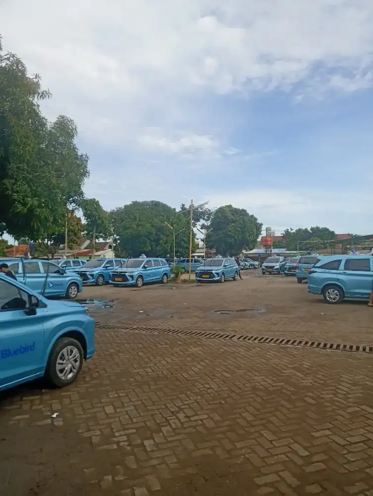 Lowongan 50 driver Bluebird