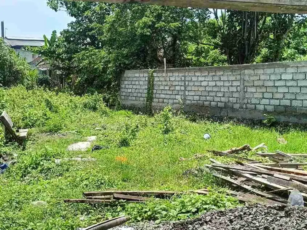 Tanah kapling siap bangun 250 M2 yellow zone akses lebar Munggu dekat Canggu