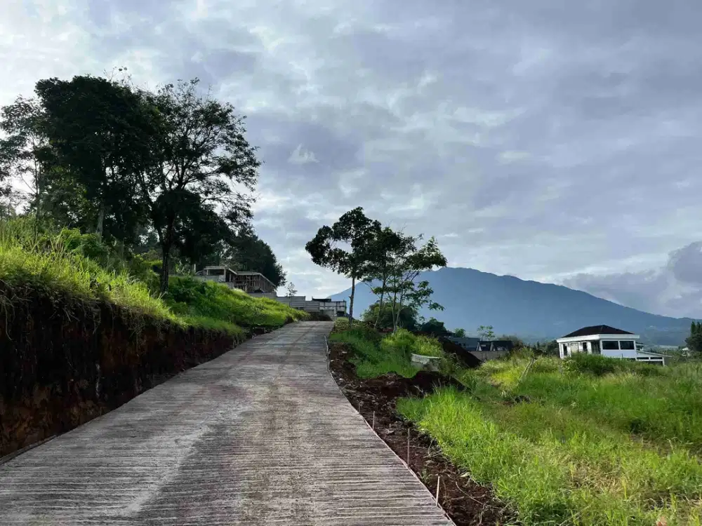 Tanah dijual di puncak bogor luas 510m2 best view