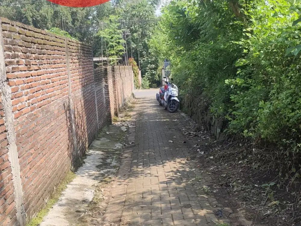 DIJUAL TANAH MURAH 750RB PERMETER