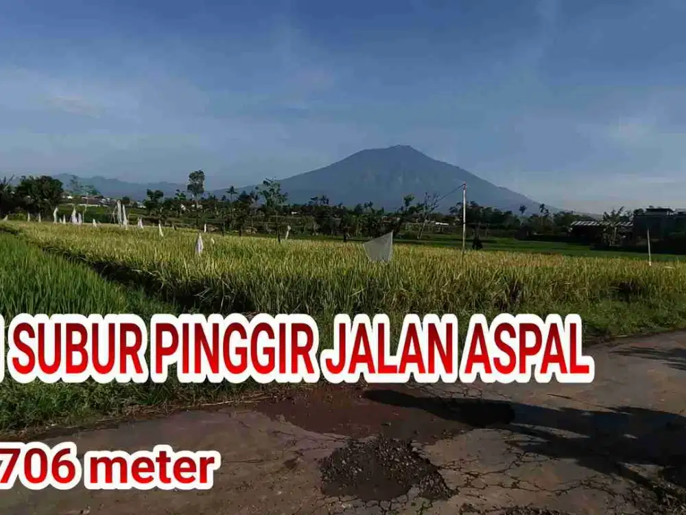 SAWAH MURAH PINGGIR JALAN ASPAL