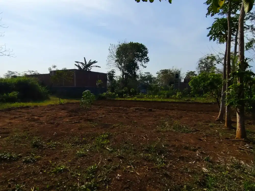 Tanah murah luas 169 meter karangploso malang