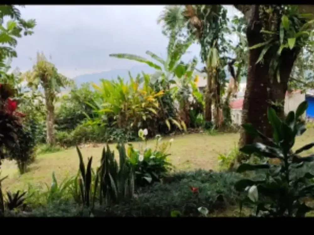 Dijual Tanah di Ciawi Gadog Bogor. Tanah Siap Bangun Lokasi Sangat Strategis