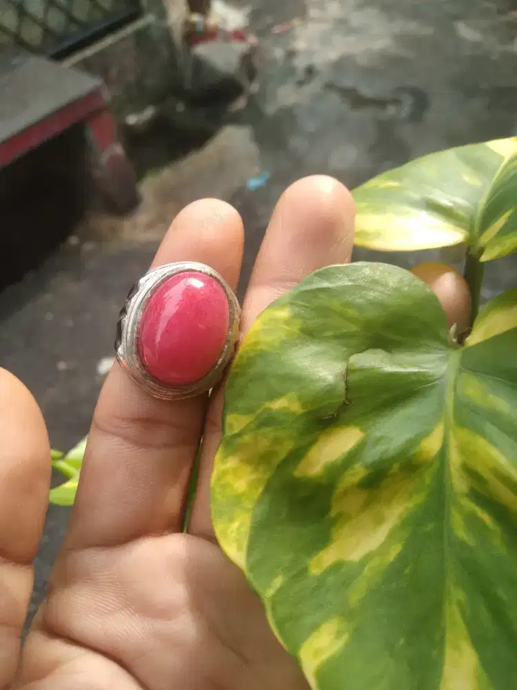 Merah delima ruby size besar natural ring 18
