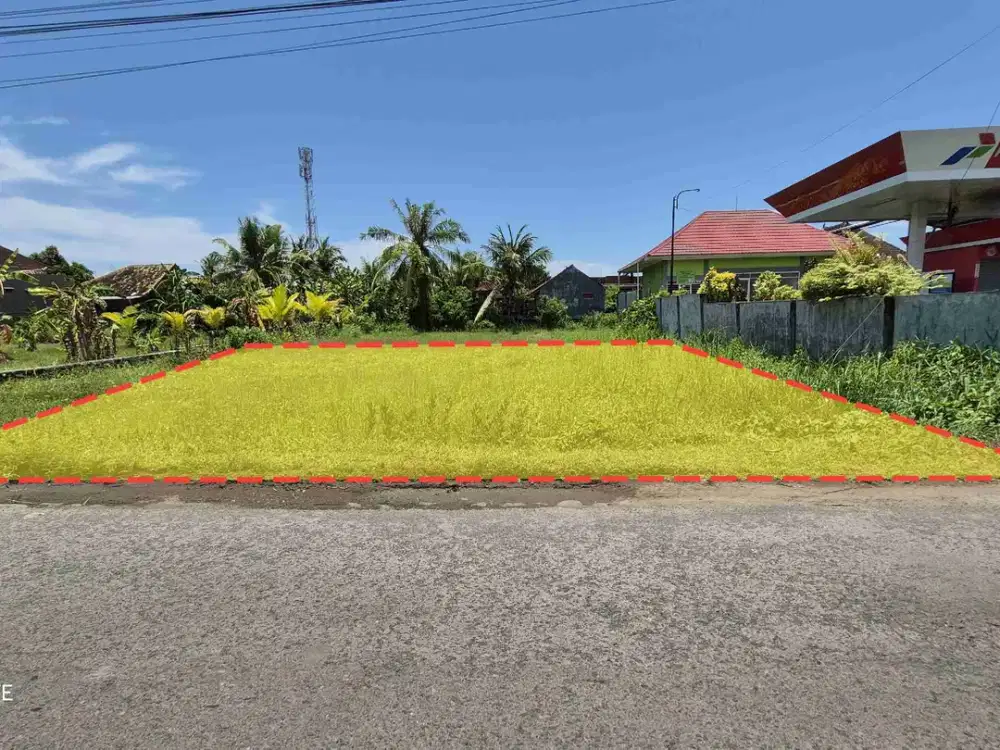 TANAH 700 M2 PINGIR JALAN UTAMA MERTASARIBLOLOAN TIMUR JEMBRANA