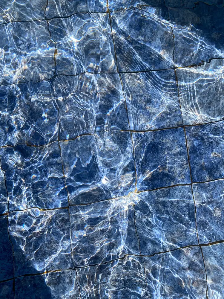 Dibutuhkan Host Live